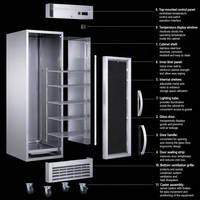 Réfrigérateur à barre arrière Wetruth, refroidissement par air forcé, technologie avancée, vertical, pour restaurant, cuisine, réfrigérant R290