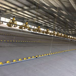 Profesyonel kümes hayvancılığı için 1 yıl garanti ile ticari Modern kontrollü çelik yapı tavuk evi - Product Image 2