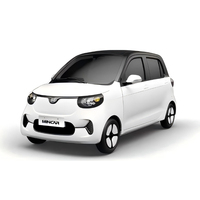Voiture électrique familiale Xiaohu FEV 2024, Hongrui Xiaohu EV, conduite à droite, purement électrique, Xiaohu 4 places, mini-voiture, petit tigre