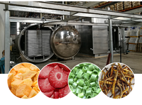 Vacüüm-vriesdroger op maat, lyofilisator, aardbeien-vriesdroogapparatuur voor fruitvriesdroogverwerkingslijn