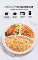 Oasis 10 pouces 3-Comp 100% assiettes en papier jetables biodégradables et compostables à bagasse pour mariage