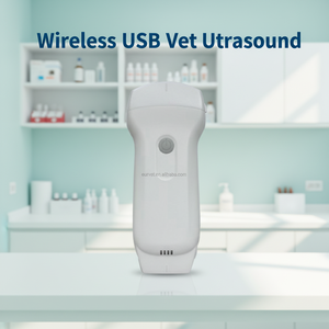 Sonda de Ultrasonido Inalámbrica USB de Alta Calidad EUR PET, Máquina de Ultrasonido a Precio Económico con Fuente de Alimentación Eléctrica Transrectal - Product Image 1