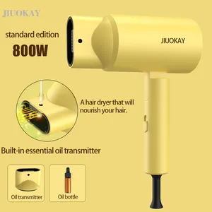 Professional Essential Argan Oil Spritzing Nozzle Diffuser Foldable Collapsible Hair Dryer For Hair Revair Hair Care