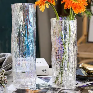 2023 vaso di vetro cubo in stile nordico semplice vaso di vetro con struttura di lucidatura idroponica