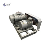 Pompa Vakum Rotary Roots AC Listrik Besi Cor OEM Tekanan Tinggi untuk Pengolahan Air Limbah dan Pabrik Kertas