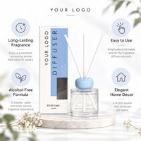 Diffuseur de parfum liquide écologique pour la maison et la voiture, motif personnalisé, 100 ml, avec emballage sur mesure