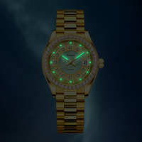 Montre automatique mécanique de luxe pour femme Ferhmen F6600 en acier inoxydable avec cadran vert MOP, diamants et verre saphir