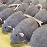 Peluche de Rat de Simulation en Gros, Poupée Réaliste de Rat Fantaisie, Jouet en Peluche Doux, Coussin Animal en Peluche, Cadeau de Fêtes