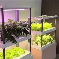 Machine de culture hydroponique verticale automatique intelligente Seeda pour plantes d'intérieur, multi-niveaux, sans terre, facile à utiliser à la maison