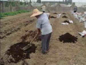 <span class=keywords><strong>Charbon</strong></span> <span class=keywords><strong>actif</strong></span> végétal granulaire <span class=keywords><strong>charbon</strong></span> <span class=keywords><strong>actif</strong></span> pour composés organiques carbone prix Activ - Product Image 5