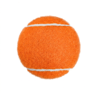 Balles de tennis classiques pour le sport, balles d'entraînement de qualité professionnelle pour tournois, haute élasticité, durables