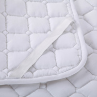 Factory Direct Sale Hotel Einfacher weißer Gänse betts chutz im modernen Stil Mahjong Mat Thick 90% Goose Luxury Anti-Bacteria Home