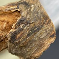 Encens en spirale de bois de santal Oud, pur fait main, écologique, sans machine, aromatique direct