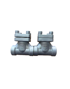 Válvulas de Retención Criogénicas de Alta Resistencia DN 32MM SS304 316 para Agua, Aceite y Oxígeno DH61F-40P con Válvula de Bola PTFE - Product Image 3