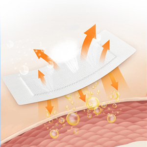 ハーブ温熱鎮痛パッチ＆プラスター 10×13cm 10枚入り/箱 CE認証 2年保存可能 - Product Image 6