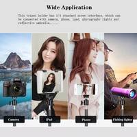 Trépied Réglable Portable 2.1M pour Smartphone, Appareil Photo, Éclairage, Lumière d'Appoint LED et Anneau Lumineux