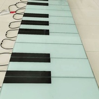 Décoration de parc à thème en plein air, éclairage interactif géant au sol, éclairage LED en acier inoxydable, marches lumineuses, éclairage de piano