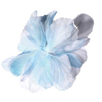 Tissu en maille polyester 3D dégradé, léger et transparent, effet floral dimensionnel pour la décoration de lingerie DIY