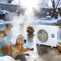 HVAC-systeem lucht-water warmtepomp EVI volledig DC-inverter hybride AC/DC zonne-energie met WiFi automatisch R410A klasse A+++ roestvrij staal