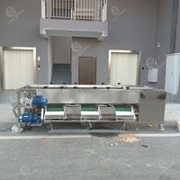 Fabriek Leveren Tomaat Grootte Sortering Roller Sorteermachine Roller Fruit Sorteermachine