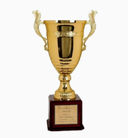 Cristal acrylique personnalisé professionnel de l'usine trophée de récompense en métal de haute qualité trophée de récompense de verre plexi de sport/imprimé en 3D