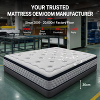 Échantillon Gratuit Matelas de Luxe Queen King 12 Pouces avec 7 Zones à Ressorts Ensachés, Latex et Mousse à Mémoire de Forme, avec Sommier