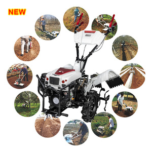 Mini cultivador y cultivador rotativo a gasolina de 4.5kW para uso doméstico de Dragon Horse con ancho de labranza de 650mm y componentes de engranaje central - Product Image 2