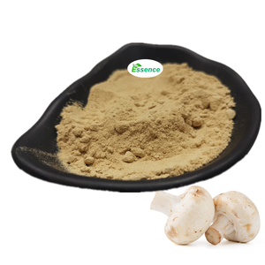 Extracto Natural de <span class=keywords><strong>Agaricus</strong></span> Bisporus en Polvo, Polisacáridos, Extracto de Hongo <span class=keywords><strong>Agaricus</strong></span> Bisporus - Product Image 2