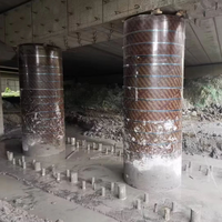 Contreplaqué peuplier filmé haute résistance réutilisable 18mm 21mm avec colle WBP pour coffrage de colonnes circulaires pour la construction en béton