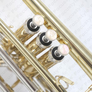 FCT-250高品质Bb短号高端黄色黄铜铅管性能仪器短号带盒价格优惠 - Product Image 4