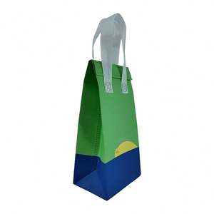 Bolsa Térmica Reutilizable Ecológica de 15L, Resistente al Agua, Aislada, para Envasado de Alimentos, Venta de Fábrica - Product Image 2