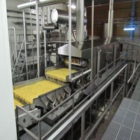 Geavanceerde productielijn voor diepvries frites, aardappelstokjes en crinkle chips: schillen, snijden, blancheren en frituren (200 kg/u, 300 kg/u, 500 kg/u)