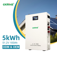 Batterie au lithium 5 kWh personnalisable avec logo, 100 Ah 51,2 V, cellules de qualité A, fabrication OEM/ODM, montage mural, pour importateurs solaires