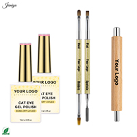 Lot de vernis gel effet œil de chat pailleté en gros avec 2 pinceaux à double embout et 1 outil magnétique pour manucure en salon