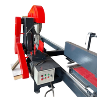 La table de poussée de précision la plus populaire Table circulaire Scie à format double lame avec rail de guidage Machine à bois