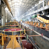 Usine de traitement de concentré de cuivre par flottation minière de 100 tonnes par jour
