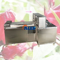 Machine de retrait de graines de jujube et de noyau d'olive actionné par moteur de noyau de machine d'ensemencement de dates d'acier inoxydable
