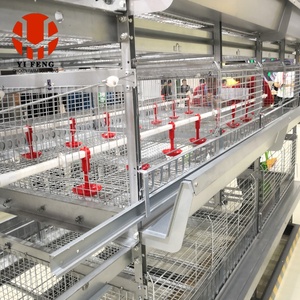 Jaula para pollos de granja avícola de capa de Zambia a la venta, jaula para pollos de nivel tipo H, jaula para pollos de Arabia Saudita para la venta - Product Image 1