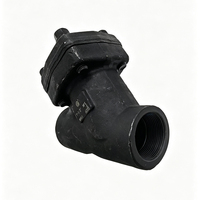 Filtre en Y haute pression pour gaz et vapeur, DN15-50, en acier au carbone forgé A105, pour applications industrielles à haute température
