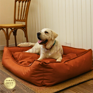 Ortho pä disches wasserdichtes Hunde bett mit abnehmbarem wasch barem Kissen für große, mittlere und kleine Hunde - Product Image 4