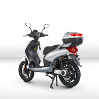 Moto électrique de course FST 800W, batterie au plomb-acide 48V 20AH, certificat EEC COC CE, vitesse maximale 40 km/h