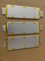 3.7V 111.4Ah WeLion haute densité d'énergie batterie de cellule de poche NMC électrique deux trois véhicules à roues bateaux solaire nouveau stockage d'énergie