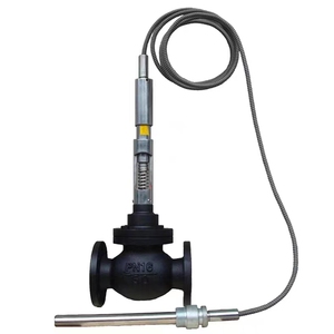 Válvula Reductora de Pistón Piloto de Oxígeno de Acero al Carbono ANSI150lbs DN50 para Gas - Product Image 6