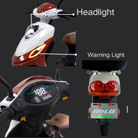 Brésil City Park Motos électriques Citycoco Scooter Pneu de 16 pouces Longue autonomie de 60km par charge Vélo électrique à charge maximale