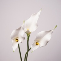 EG-L144 Bouquet de lys calla artificiels de haute qualité, toucher réel, 2 têtes, pour arrangements floraux de mariage et décoration intérieure