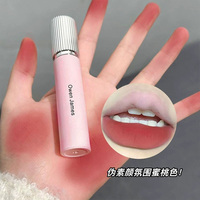 Owen James Pequeño Rosa Forja Brillo de labios Mate Terciopelo No es fácil de desvanecer Baja saturación Lápiz labial Brillo de labios Venta al por mayor Mujeres