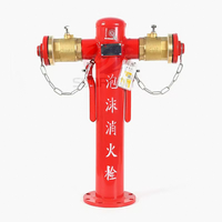 Hydrant d'incendie en fonte ductile à alimentation directe pour véranda, équipement de lutte contre l'incendie portable 100 mm pour application de protection incendie