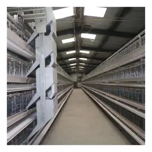 Poultry layer chicken cage for poultry farming H type battery cage philippines galvanized layer chicken cages