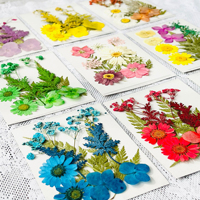 Fleurs séchées naturelles en résine pour DIY, fabrication de bijoux, scrapbooking, savons/bougies, fournitures d'artisanat