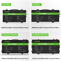 Batterie LiFePO4 ultra-mince OEM 12V 100Ah 160Ah 200Ah 230Ah 300Ah 314Ah pour le camping en désert, les overlandings et les camping-cars
